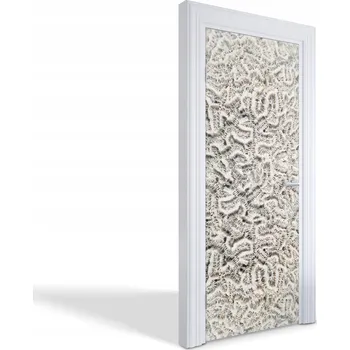 Fototapeta Samolepicí samolepící na dveře skříně Korálovec mozkový 75x205 cm