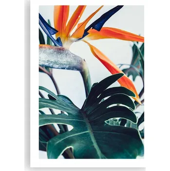 Obraz Plakát bez rámu do obýváku, ložnice 50x70 rostliny moderní módní obraz