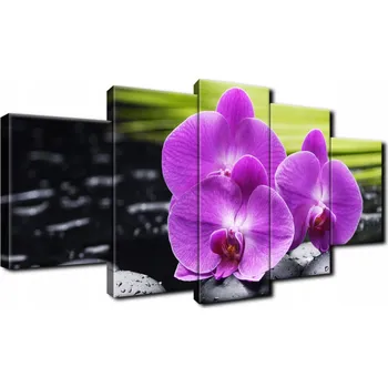 Obraz FOTOOBRAZ do pokoje obýváku 150x70 Kameny a orchideje