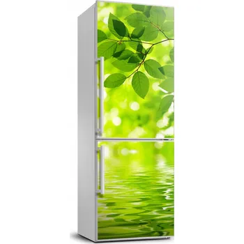 Tapeta Samolepicí fólie / tapeta na ledničku - motiv listů 70x190 cm