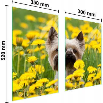 Kuchyňské prkénko Krájecí deska TMK ArtDeko sklo 2 ks