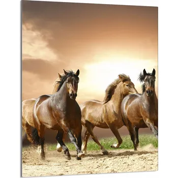 Kuchyňské prkénko Krájecí deska TMK ArtDeko sklo 1 ks