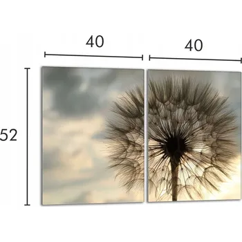 Obraz Krájecí deska TMK ArtDeko sklo 2 ks