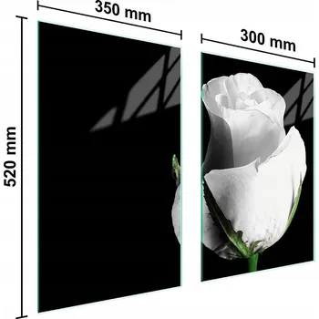 Kuchyňské prkénko Krájecí deska TMK ArtDeko sklo 2 ks