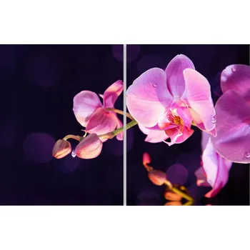 Kuchyňské prkénko Skleněná Ochranná Deska a Krájecí Prkénko | Indukce, Sporák ds-0034