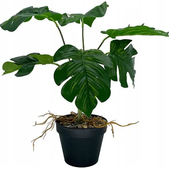 umělá květina Diefenbachie Umělé květy JAKO ŽIVÁ 55 cm