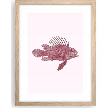 Obraz Obraz plakát v rámu světlý dub do obýváku 30x40 ryba foto plakáty na zeď