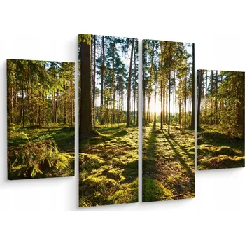 Obraz Čtyřdílný obraz LES STROMY Příroda 3D 200x150