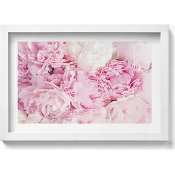 Obraz Dekorace obraz v bílém rámu na zeď Jemné květy pivoňky 30x20 cm