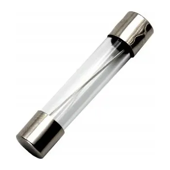 Autopojistky Skleněná pojistka 20A 10 kusů