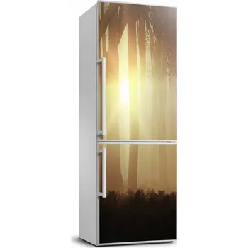 Fototapeta Samolepicí fototapeta na ledničku Mlha v lese