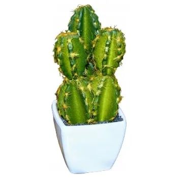 umělá květina UMĚLÁ KVĚTINA – SUKULENT V BÍLÉM KVĚTINÁČI h14 cm