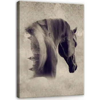 Obraz OBRAZ NA PLÁTNĚ CANVAS 40x60 KŮŇ PORTRÉT VINTAGE