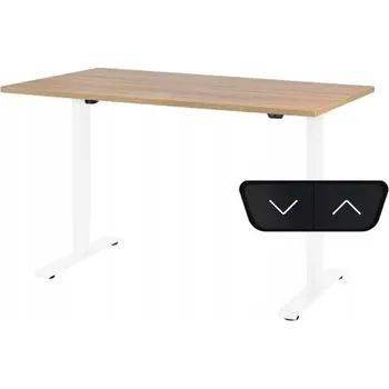 Psací stůl Obdélníkový psací stůl ProErgo 160 x 80 x 121 cm bílý