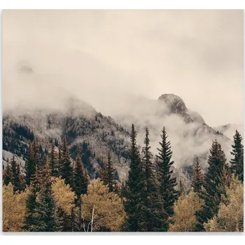 Kuchyňské prkénko Skleněná Ochranná Deska a Krájecí Prkénko | Indukce, Sporák ds-0478