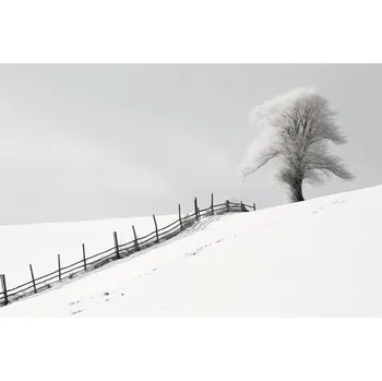Plakát Plakát Samota Zimy u Plotu bez rámu 91,5 x 61 cm
