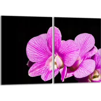 Obraz Krájecí deska TMK ArtDeko sklo 2 ks