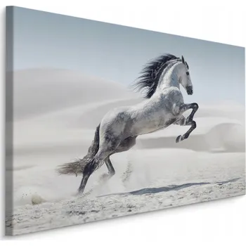 Obraz Obraz do obýváku KŮŇ v cvalu poušť 30x20