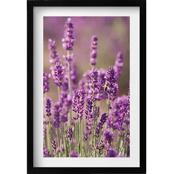 Obraz Dekorativní nástěnný obraz v rámu s grafikou loft - Levandulová louka květů 40x60 cm