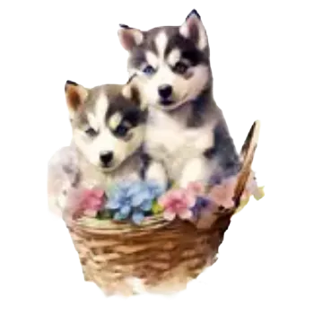 samolepka Samolepky - psí kamarádi V (sada 5 ks)