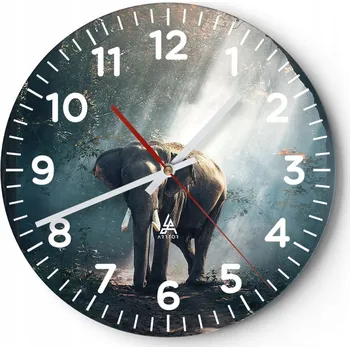 Hodiny Kuchyňské nástěnné hodiny 30x30 Zvířata Moderní skleněné hodiny Obývací pokoj Tiché