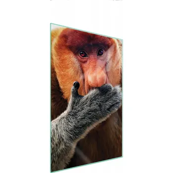 Kuchyňské prkénko Krájecí deska TMK ArtDeko sklo 1 ks