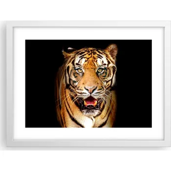 Obraz Obraz plakát v bílém rámu do obýváku 40x30 zvířata foto na zeď