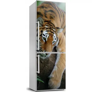 Fototapeta Foto Samolepka na ledničku Tygr na stromě