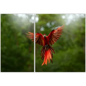 Kuchyňské prkénko Skleněná Ochranná Deska a Krájecí Prkénko | Indukce, Sporák ds-0530