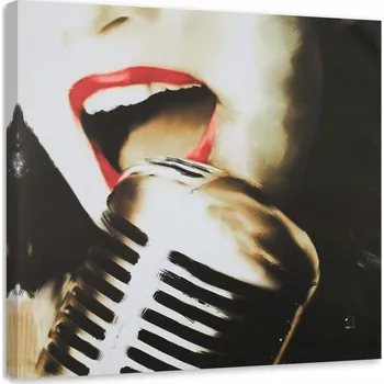 Obraz OBRAZ NA PLÁTNĚ Žena Hudba Zpěv 30x30