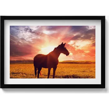 Obraz Dekorativní nástěnný obraz do pokoje Kůň na poli při západu slunce 60x40 cm
