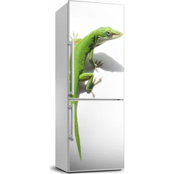 Fototapeta Foto polep na ledničku Zelená ještěrka 70x190 cm