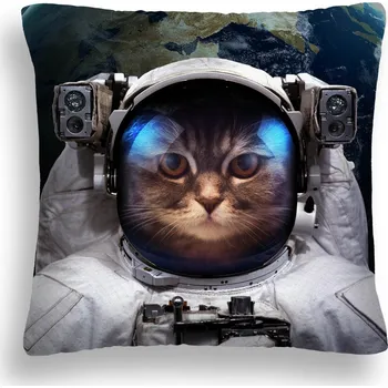 Polštář POLŠTÁŘ KOSMICKÁ KOČKA 42 GALAXY ASTRONAUT NASA