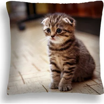 Polštář VELKÝ 50*50 POLŠTÁŘ KOŤÁTKA 05 MALÉ SMUTNÉ KOŤÁTKO