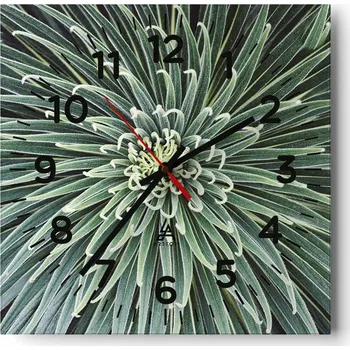 Hodiny Kuchyňské nástěnné hodiny 30x30 Květ Agáve Skleněné hodiny do obýváku Tiché