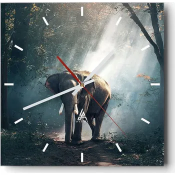 Hodiny Velké nástěnné hodiny 40x40 cm Zvířata Skleněné tiché hodiny