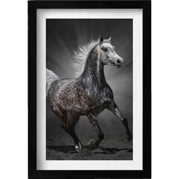 Obraz Dekorativní nástěnný obraz s černým rámem a grafikou loft - Cvalík kůň 20x30 cm