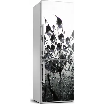 Fototapeta Samolepící nálepka Semínka pampelišky