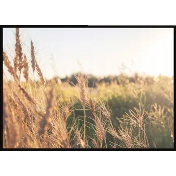Obraz OBRAZ PLAKÁT S RÁMEM 53x73 cm Tráva P1905