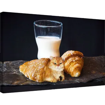 Obraz Obraz Canvas Mléko Kočka Rohlíky Jídlo 60x40