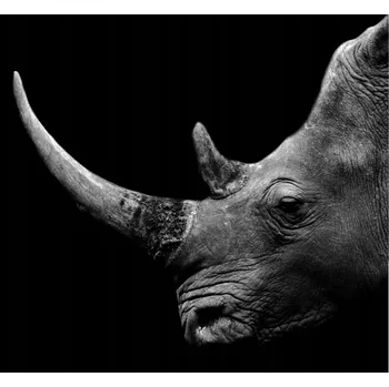 Kuchyňské prkénko Skleněná Ochranná Deska a Krájecí Prkénko | Indukce, Sporák ds-0136