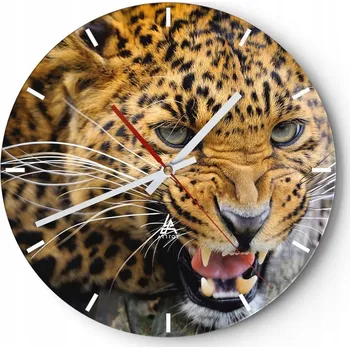 Hodiny Velké nástěnné hodiny 40x40 cm Zvířata Skleněné hodiny Kulatý Tiché
