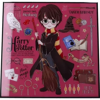 Obraz Obraz Harry Potter - Harry Potter Crystal Clear Art Pictures