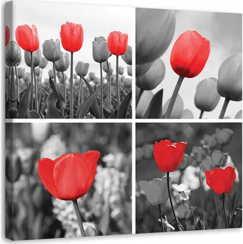 Obraz Obraz na plátně - Canvas, Sada červených tulipánů