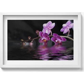 Obraz Dekorativní obraz v rámu na zeď Růžový květ orchideje na vodě 60x40 cm