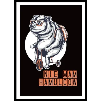 Obraz OBRAZ PLAKÁT V RÁMU dárek vtipný NEMÁM BRZDY kolo P2618_33x43