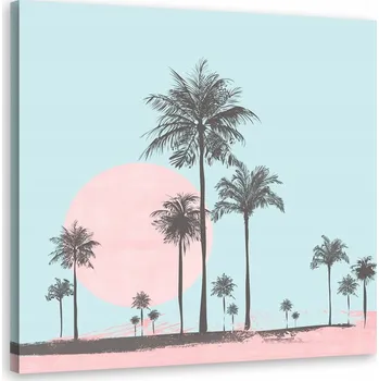 Obraz Obraz Palma na poušti - Andrea Haase 50x50