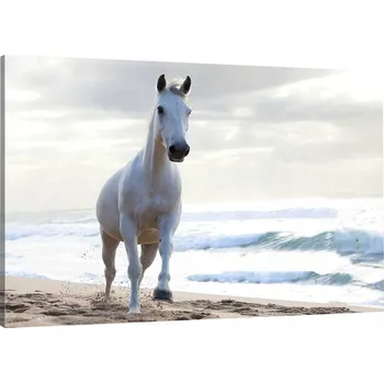 Obraz OBRAZ NA PLÁTNĚ KŮŇ MOŘE PLÁŽ 100x70 980