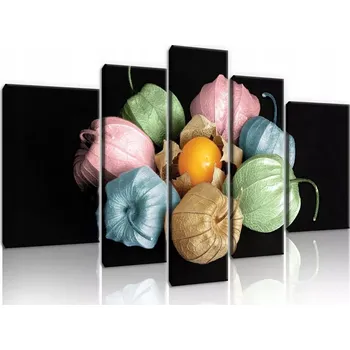 Obraz OBRAZ NA PLÁTNĚ CANVAS 170x100 MOCHYNĚ PHYSALIS