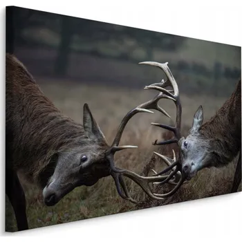 Obraz Obraz na zeď JELENI lesní zvířata dekorace 70x50